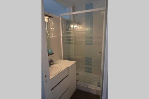 une salle de bain avec un lavabo blanc et une douche dans l'établissement Appartement studio vue mer les pieds dans l'eau, à Saint-Jean-de-Monts