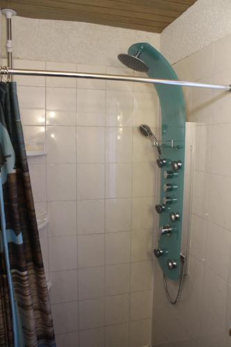 a shower with a green shower head in a bathroom at Zum-Seehörnchen Haus Fuchs in Tanna