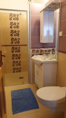 a bathroom with a toilet and a sink and a shower at Keller Apartmanok in Hajdúszoboszló