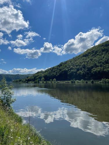 a view of a river with clouds in the sky at Altes Weingut Bröhl in Hatzenport