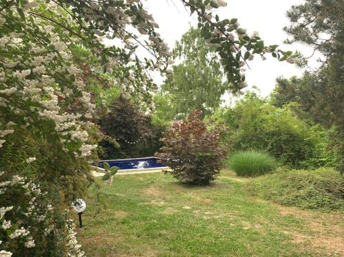 a garden with a blue boat in the distance at Jagodinska Oaza in Jagodina