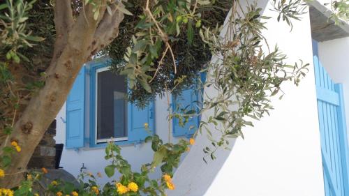 a blue window on a white building with a tree at Tinos Sea View Residence in Agios Sostis