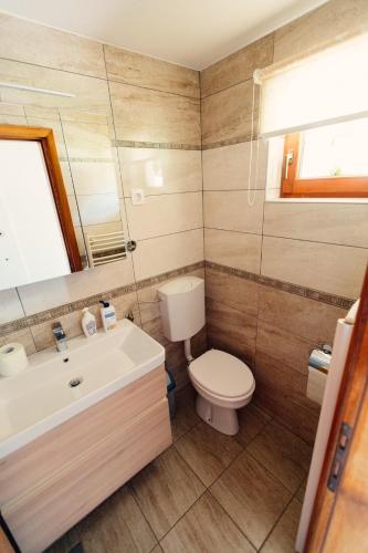 a bathroom with a toilet and a sink at Zidanica Bahor in Črnomelj