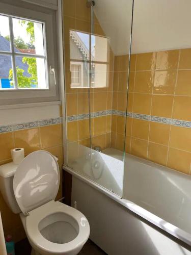 馬翁普拉日堡的住宿－Pepper Lake，一间带卫生间和浴缸的浴室以及窗户。