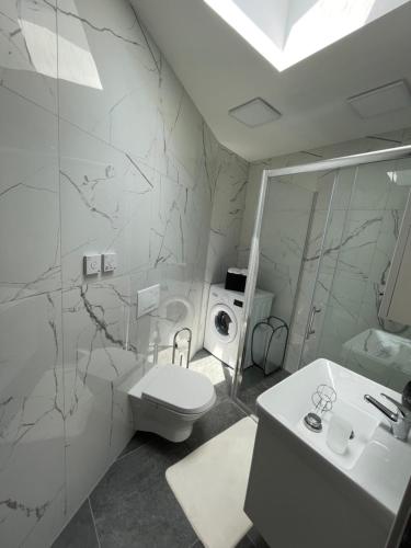 La salle de bains blanche est pourvue de toilettes et d'un lavabo. dans l'établissement Apartman Gabrijela, à Opatija