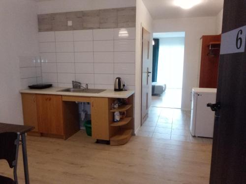 uma cozinha com um lavatório e uma bancada em Apartamenty 3D em Giżycko