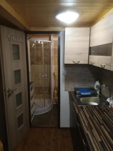 a small kitchen with a shower and a sink at Apartmán Pod věží II in Česká Kamenice