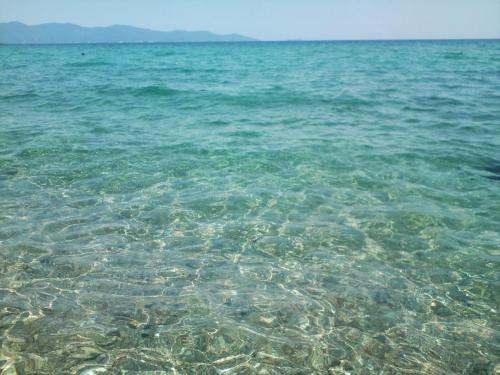 Gallery image of Nautilos in Ierissos