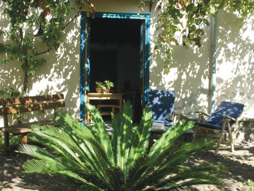 una casa con due sedie e una pianta nel cortile di Agriturismo Hibiscus a Ustica
