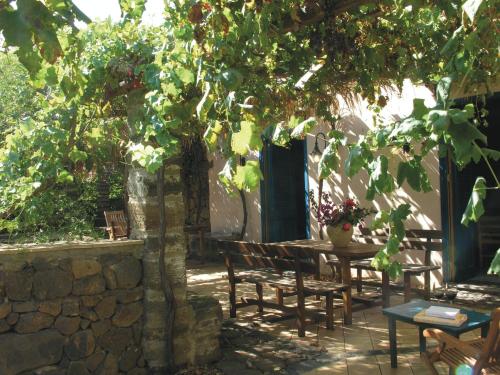 um pátio com uma mesa e cadeiras debaixo de uma árvore em Agriturismo Hibiscus em Ustica