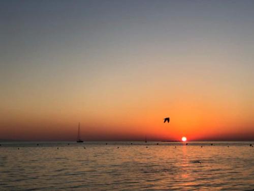 Antibes Seaside one room studio in Salis Beach