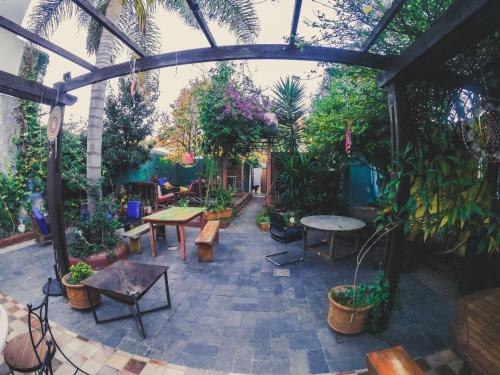 um pátio com um monte de plantas e mesas e bancos em Charruas hostel em Montevidéu
