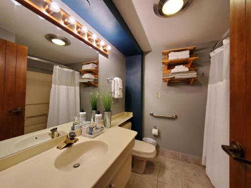 a bathroom with a sink and a toilet and a mirror at Tamarron Lodge Suite 203-201 in Durango
