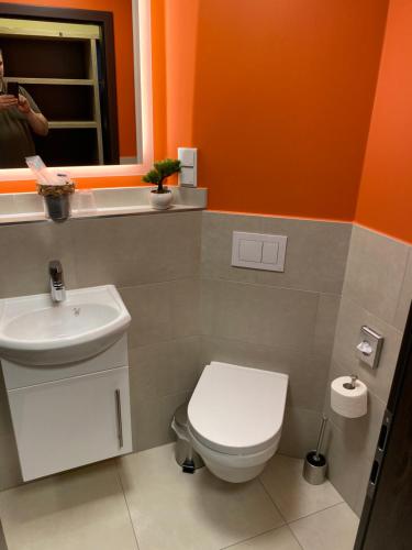 a bathroom with a toilet and a sink and a mirror at WIRTSHAUS am Niederntor in Blomberg