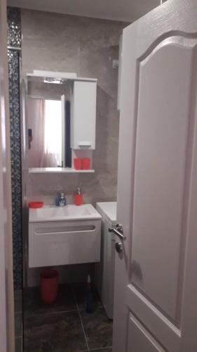 a bathroom with a sink and a mirror at Studio apartman Zoja in Trebinje