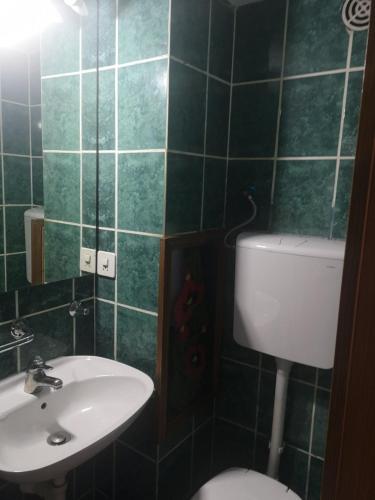 a green tiled bathroom with a toilet and a sink at Apartmani vila Bled 2 in Banja Koviljača