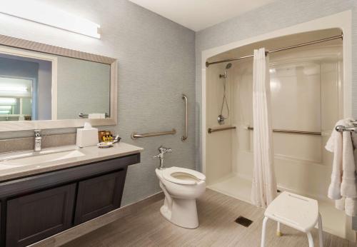 e bagno con servizi igienici, lavandino e doccia. di Robert Treat Hotel a Newark