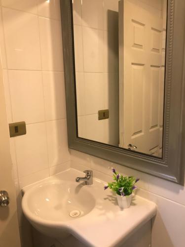 a bathroom sink with a mirror and a plant on it at Apart Hotel Don Domingo Coñaripe in Coñaripe