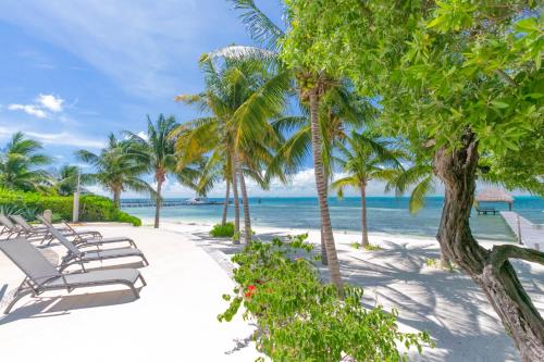 a row of lounge chairs on a beach with palm trees at Sunset Condo 104 Puerta al Mar Isla Mujeres Mexico in Isla Mujeres