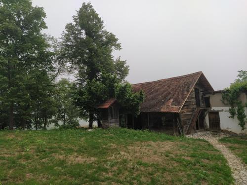 an old house with a tree in the yard at Vacation house Stala la la in Požega