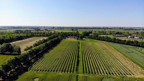 Landskap semula jadi dekat dengan penginapan di ladang