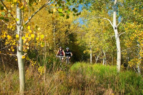 two people riding bikes on a trail in the woods at Ascent Residence 309 in Avon