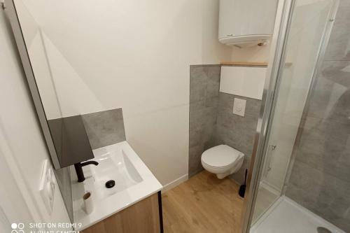 a small bathroom with a toilet and a shower at Appartement zen 1er étage in Cherbourg en Cotentin