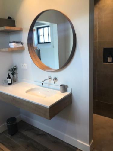 ein Bad mit einem Waschbecken und einem Spiegel in der Unterkunft B&B Biesvenhof in Merksplas