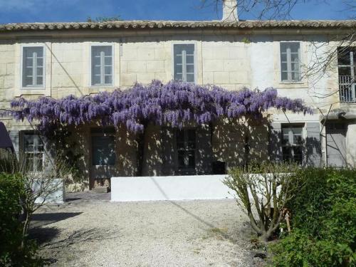 Ein paar lila Blumen vor einem Gebäude in der Unterkunft Mas de la Forge in Arles