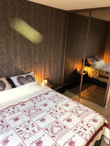 a bedroom with a bed and a mirror at Confort d’Ange in Vaulx-en-Velin