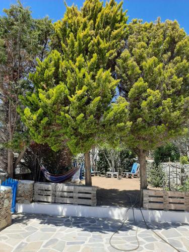 a pair of trees with a hammock under them at Chaniotis Studios in Kalafatis
