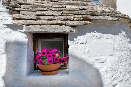 un pot de fleurs roses assis sur une fenêtre dans l'établissement Trullo 11, à Alberobello
