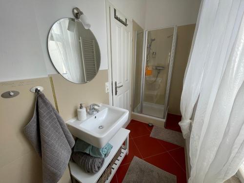 een badkamer met een wastafel, een douche en een spiegel bij LE-Citywohnung-I in Leipzig