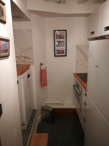 une petite cuisine avec un évier et un réfrigérateur dans l'établissement Honfleur duplex, à Honfleur