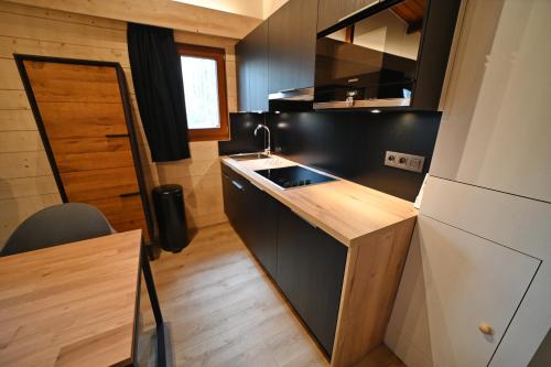 a small kitchen with a sink and a refrigerator at Meleze - Oignies in Petit Mesnil