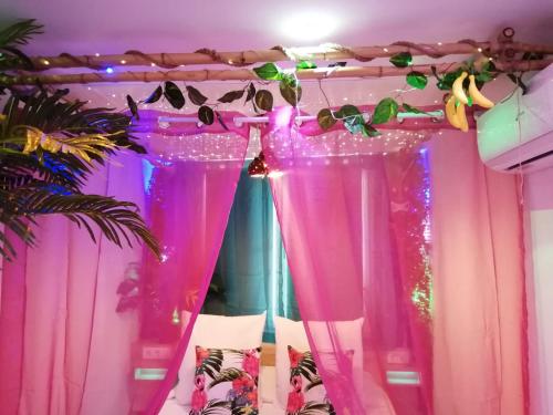 Wonder Paradisio Studio Nerja