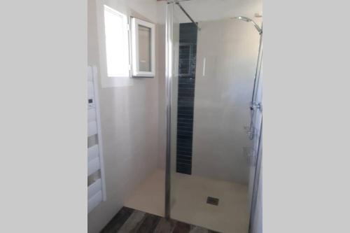 a shower with a glass door in a bathroom at Gîte Le Petit Jas in Villeneuve
