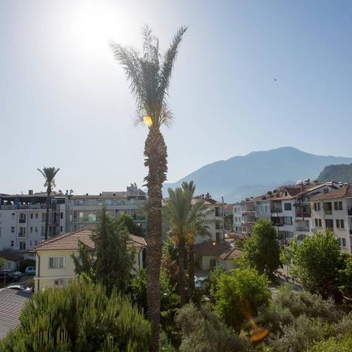 a palm tree in the middle of a city at Narac Dom in Fethiye