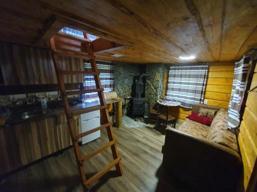a room with a ladder and a couch in a cabin at Трембіта in Rakhiv