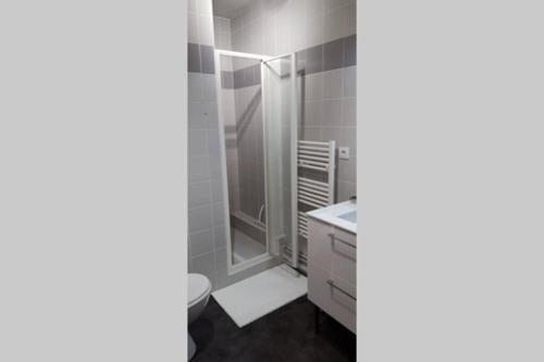 La salle de bains est pourvue d'une douche et de toilettes. dans l'établissement Le Gite de Myla au pied du Château Royal d'Amboise, à Amboise