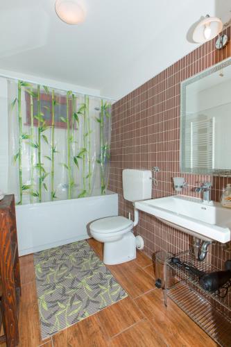 a bathroom with a toilet and a sink and a mirror at Thirsty River Apartments in Bovec