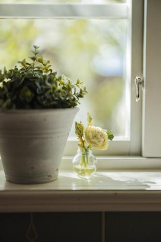 Fotografie z fotogalerie ubytování Bäcks Bed & Breakfast v destinaci Vintrosa
