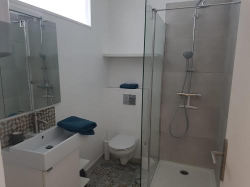a bathroom with a shower and a toilet and a sink at Fontainebleau Cosy in Fontainebleau