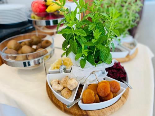 a table with plates of food and a potted plant at Aparthotel Miramare in Makarska