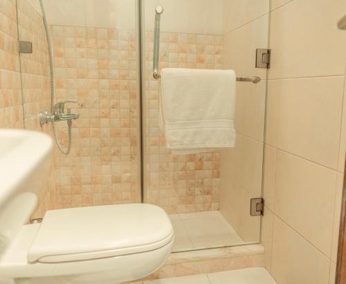 a bathroom with a shower with a toilet and a sink at Baden Hotel Suites in Amman
