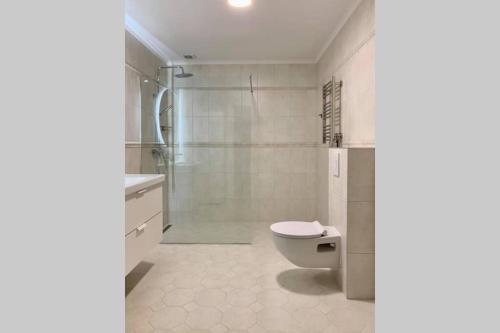 a white bathroom with a toilet and a shower at Vaivute Apartments No2 in Darbėnai