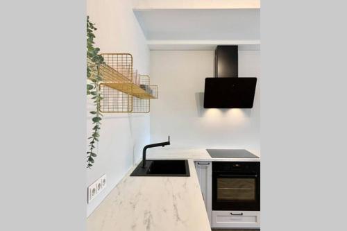 a kitchen with a sink and a stove top oven at Vaivute Apartments No2 in Darbėnai