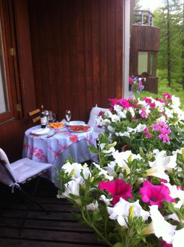 Zahrada ubytování Appartamenti Coin Au Paradis