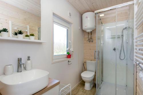 uma casa de banho com um WC, um lavatório e um chuveiro em Cherry House Gdańsk em Gdansk