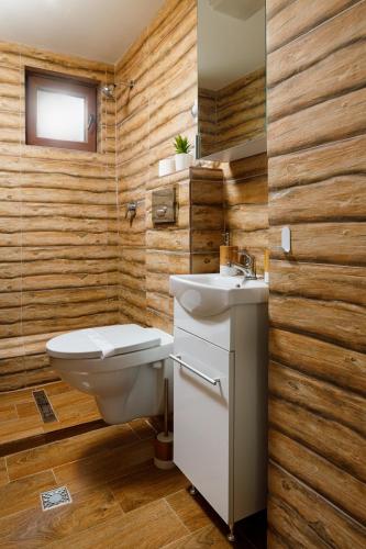 a bathroom with a toilet and a sink at Traditional Boutique in Braşov